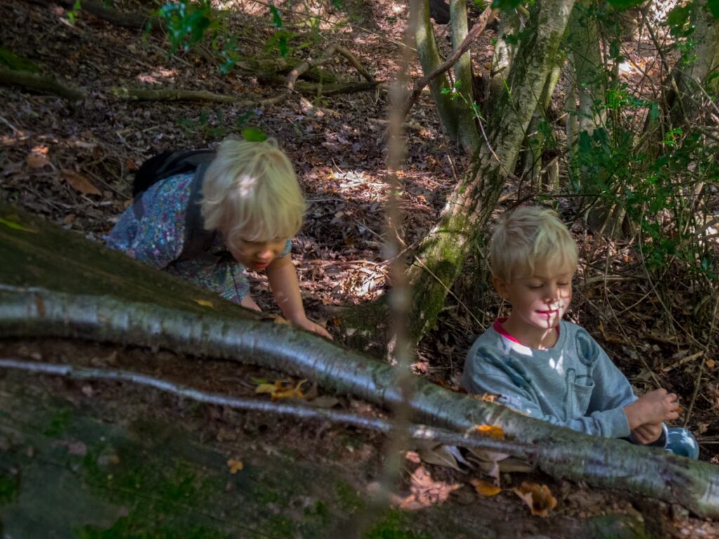 First Geocaching at Nymans Garden