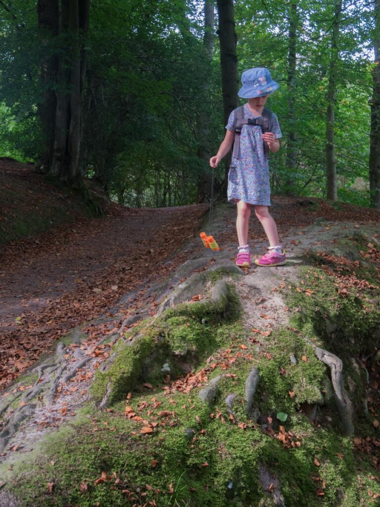 First Geocaching at Nymans Garden