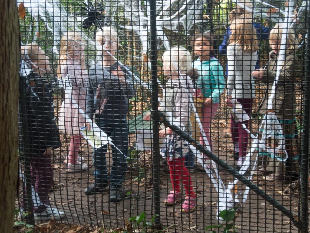 Nymans Spooky Trail