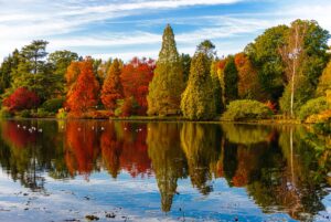 Autumn Colours in Sheffield Park